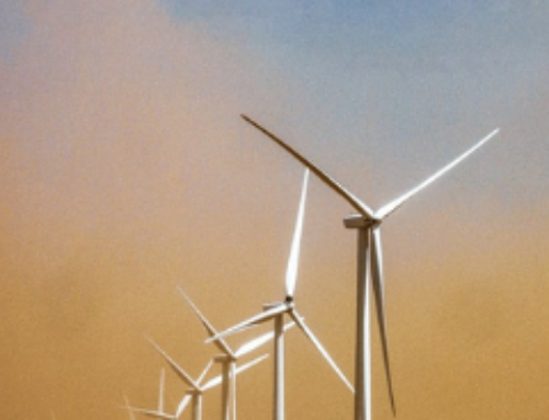 Sustainability in eCommerce: Why and how businesses are responding to demand for change